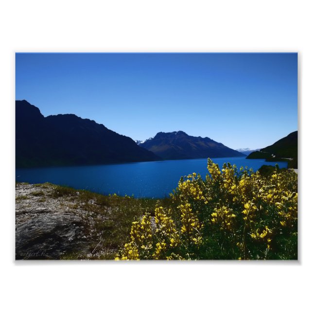 Tranquilitet Blues South Island, New Zealand Photo Fototryck (Framsidan)