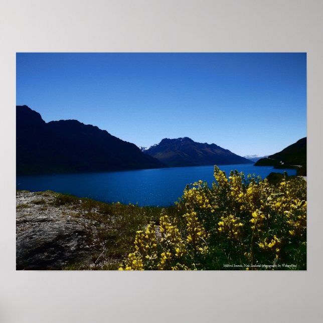 Tranquilitet Blues South Island, Nya Zeeland Poste Poster (Framsidan)