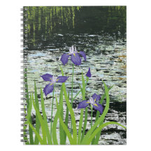 "Tranquilitet" Lila Iris-bärbar dator