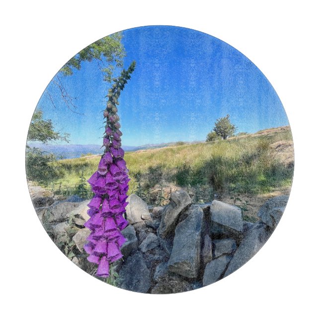 Tranquilitet på den engelska landsbygden (Framsidan)