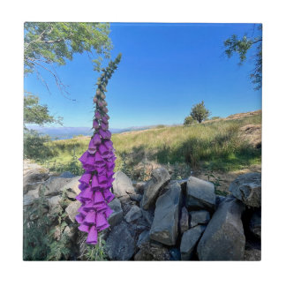 Tranquilitet på den engelska landsbygden kakelplatta