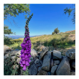 Tranquilitet på den engelska landsbygden perfect poster