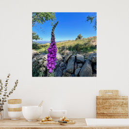 Tranquilitet på den engelska landsbygden poster