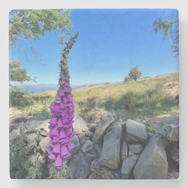 Tranquilitet på den engelska landsbygden stenunderlägg (Framsidan)