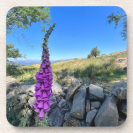 Tranquilitet på den engelska landsbygden underlägg