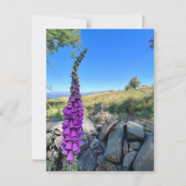 Tranquilitet på den engelska landsbygden vykort