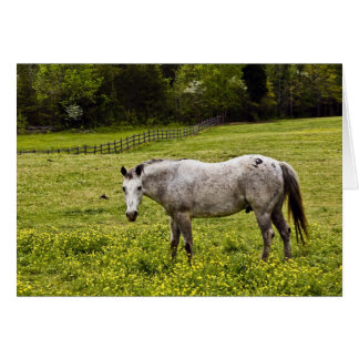 Tranquility Hälsningskort