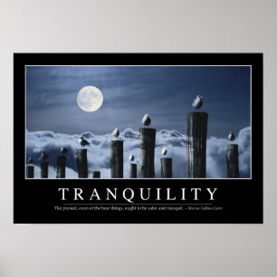 Tranquility: Inspirera citationstecken Poster