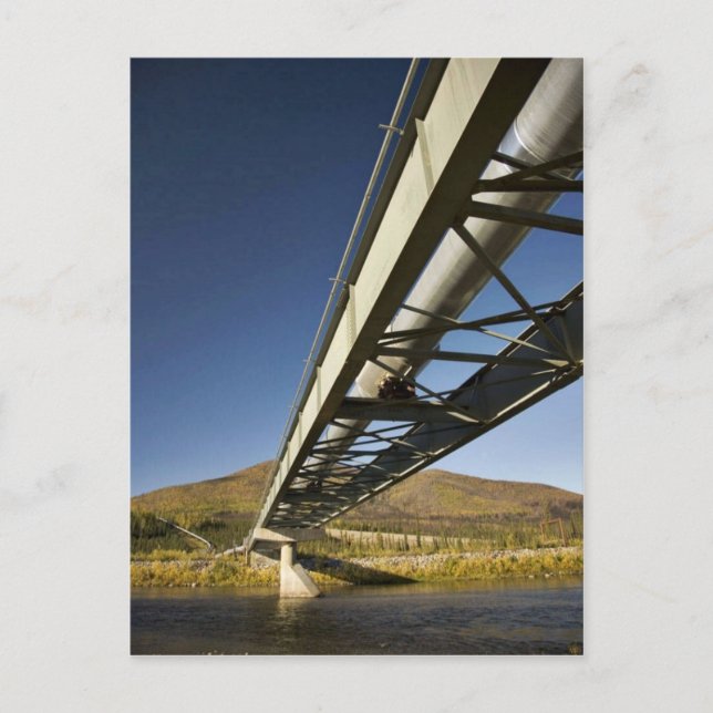 Trans Alaska oljeledning genom South fork Koyu Vykort (Framsida)