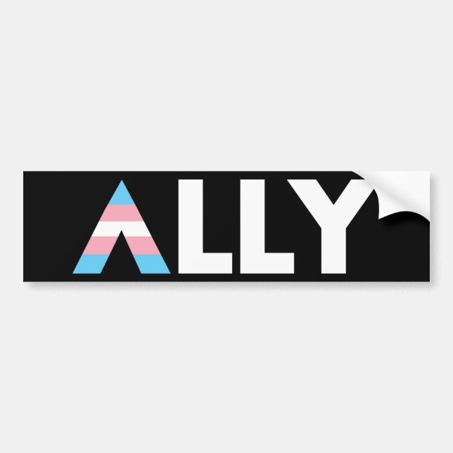 Trans Ally LGBTQ Transgender HBT Bildekal (Framsidan)