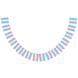 Trans Bunting Flagga