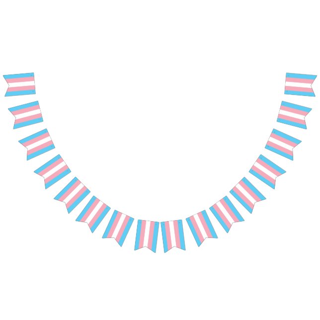 Trans Bunting Flagga (Alla)