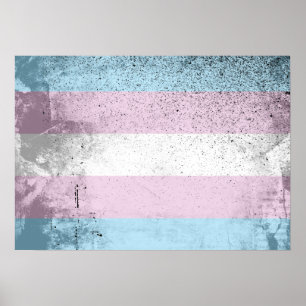TRANS-FLAGGA ORIGINAL -.png Poster