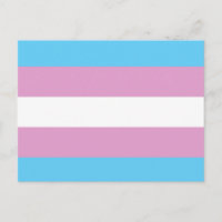 TRANS FLAGGA ORIGINAL -.png