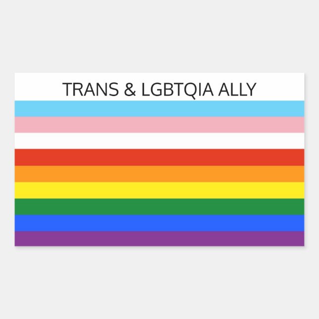 TRANS & LGBTQIA ALLY REKTANGULÄRT KLISTERMÄRKE (Framsida)