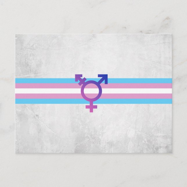 Trans Pride Flagga Vykort (Framsida)