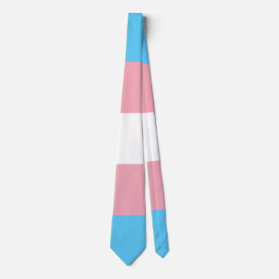 Trans Pride Neck Tie Slips