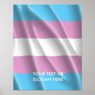 TRANS-PRIDE POSTER