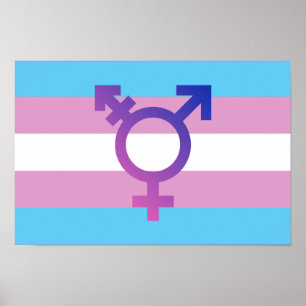 Trans.-prideflagga Poster