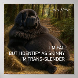 Trans-smal poster