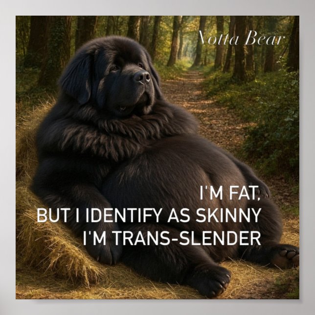 Trans-smal  poster (Framsidan)