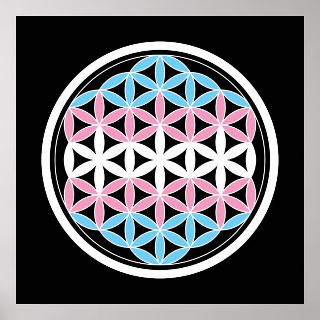 tranSacred-geometri Poster (Framsidan)