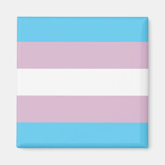 Transaktionsmagnet för Pride Magnet