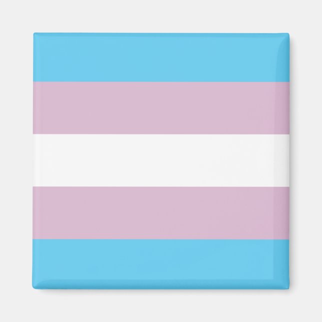 Transaktionsmagnet för Pride Magnet (Framsidan)