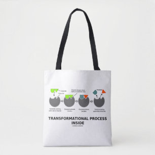Transformationssubstrat för Processaa inre enzym Tygkasse