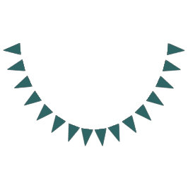 Transformativ Teal Vimplar