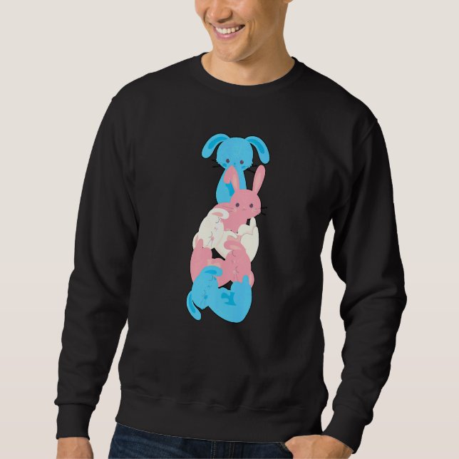 Transgender Bunny Transgender Lång Ärmad Tröja (Framsida)