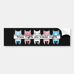 Transgender Flag Cat Trans Rights Are Human Rights Bildekal