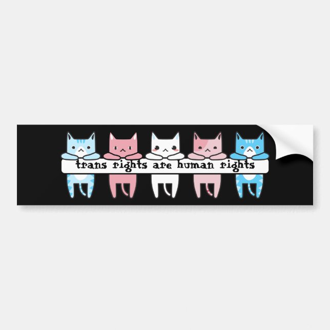 Transgender Flag Cat Trans Rights Are Human Rights Bildekal (Framsidan)