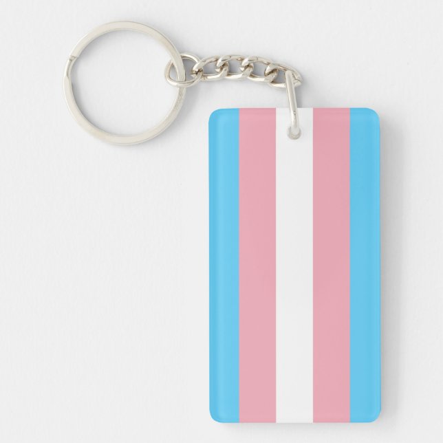 Transgender flag trans pride LGBT symbol gay homos (Framsidan)