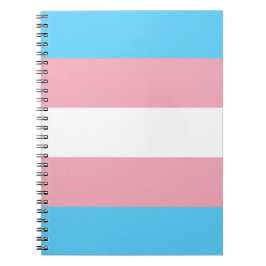 Transgender Flagga Anteckningsbok
