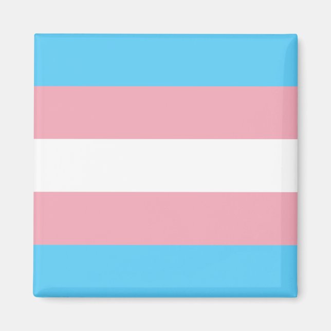 Transgender Flagga Magnet (Framsidan)