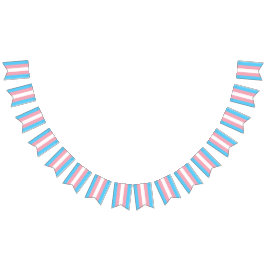 Transgender Flagga Party Signs Banners Garland