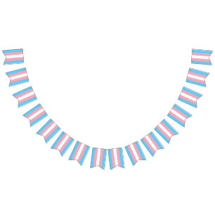 Transgender Flagga Party Signs Banners Garland