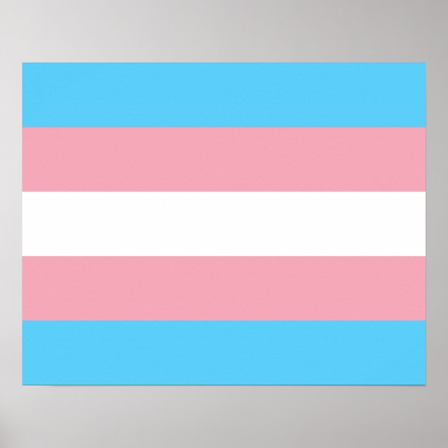 Transgender flagga Poster (Framsidan)