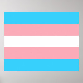 Transgender Flagga Print, Value Poster Pappert (pr