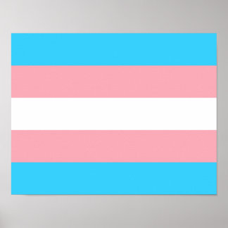 Transgender Flagga Print, Value Poster Pappert (pr