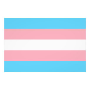 Transgender flagga trans lgbt lgbtq gay lesbisk ho fototryck