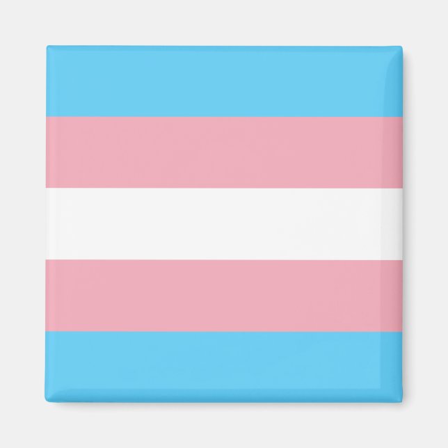 Transgender flagga trans-pride HBT-symbol homo hom Magnet (Framsidan)