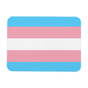 Transgender flagga trans-pride HBT-symbol homo hom Magnet