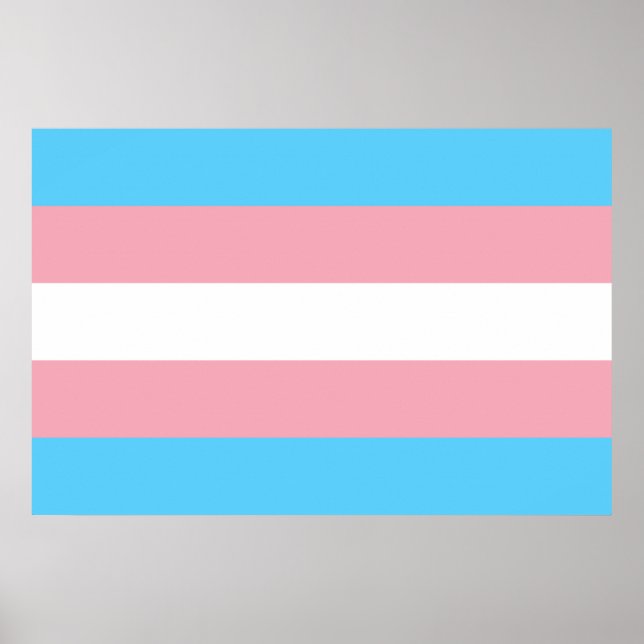 Transgender flagga trans-pride HBT-symbol homo hom Poster (Framsidan)