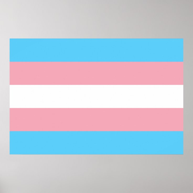 Trans ALLY-pin: geëmailleerde badge homo vlag trots