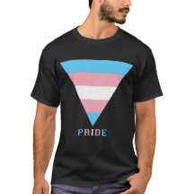 Transgender Flagga Triangle Pride Säker Zon & Ord