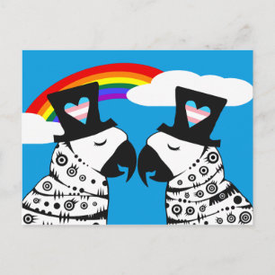 Transgender Gay Parrots par Vykort