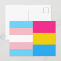 Transgender Pansexual Dual Pride Flagga