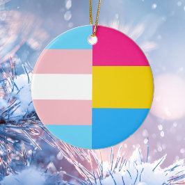 Transgender Pansexual Dual Prides Flagga jul Julgransprydnad Keramik